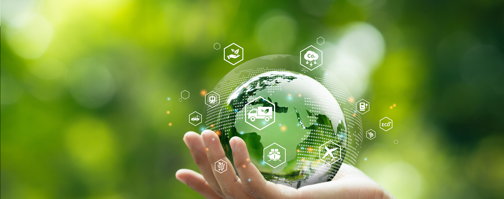 Noticias de la empresa